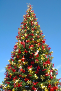 árvore-de-natal 46 lista